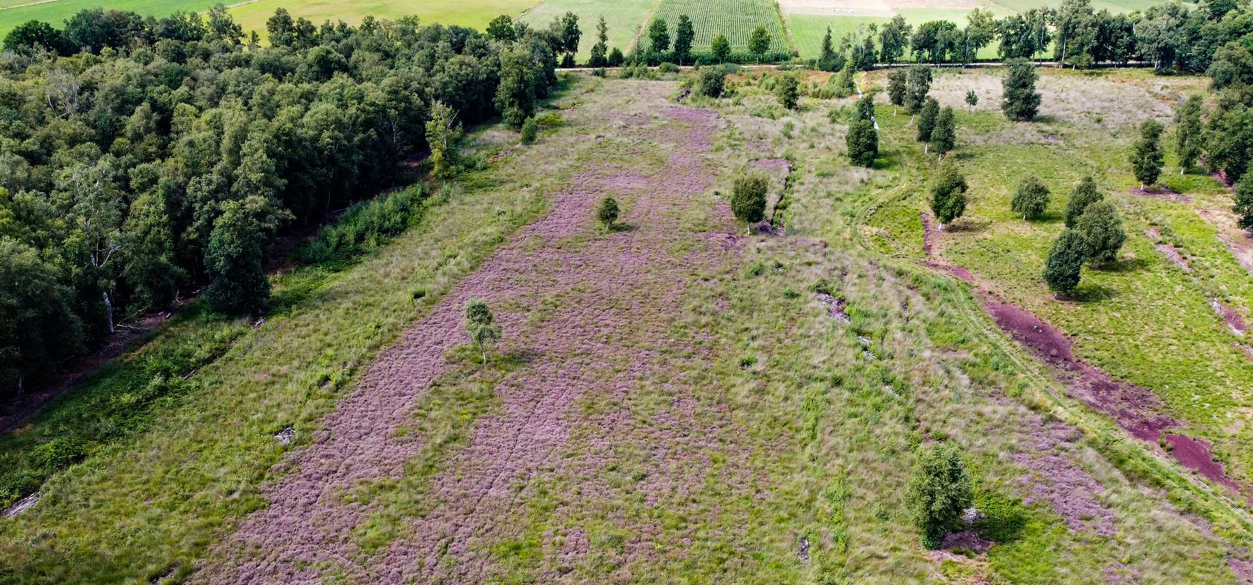 Landschapsbeheer Veenschap