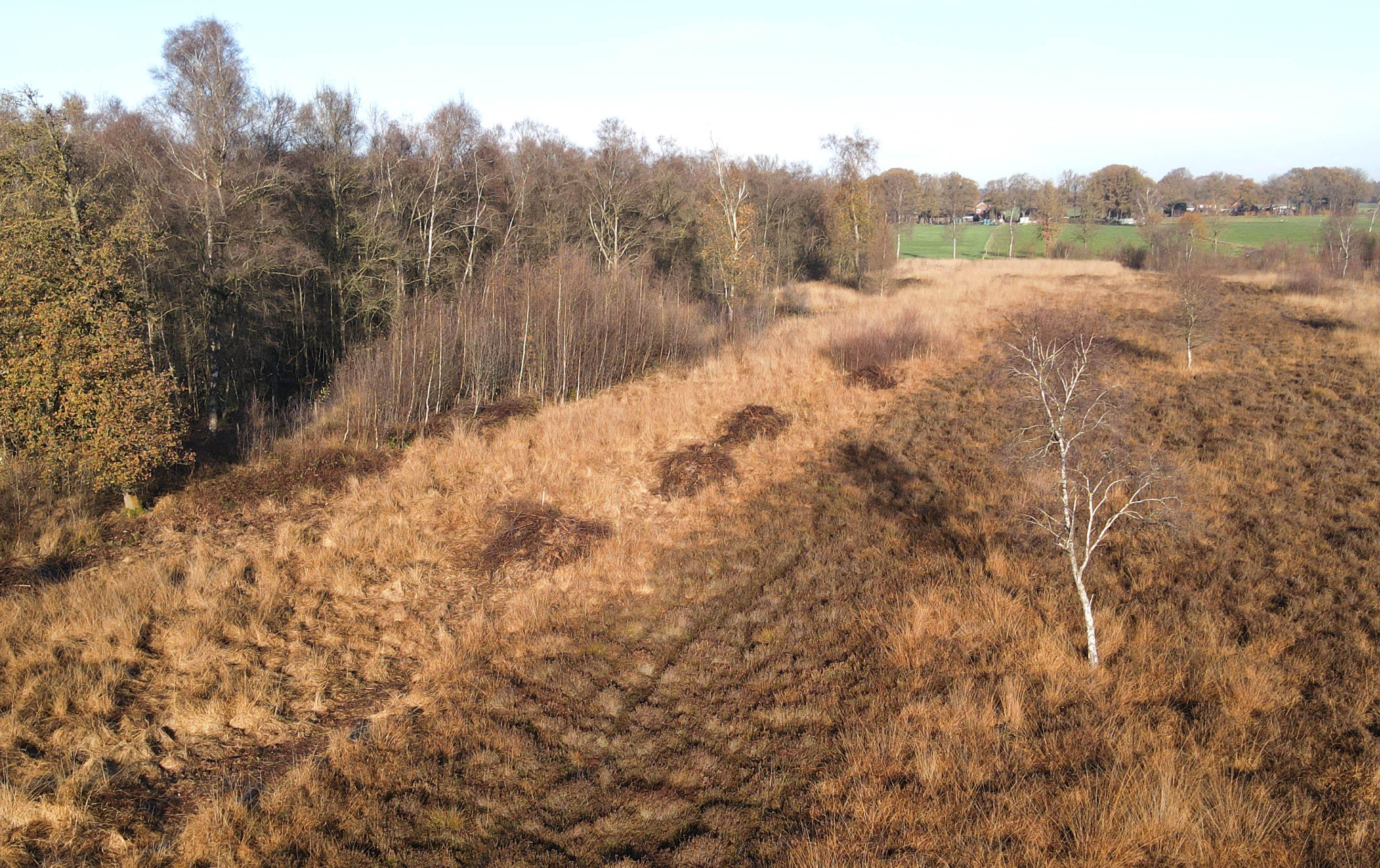 Landschapsbeheer Veenschap