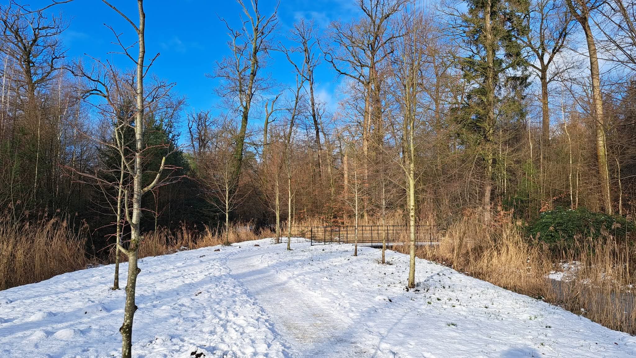 Kerstwandeling